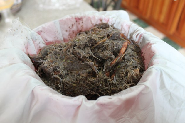 filtering_after_blending